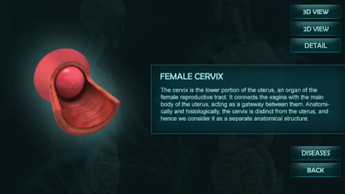 Female Reproduction system 3D android App screenshot 0