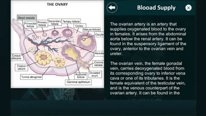 Female Reproduction system 3D android App screenshot 2