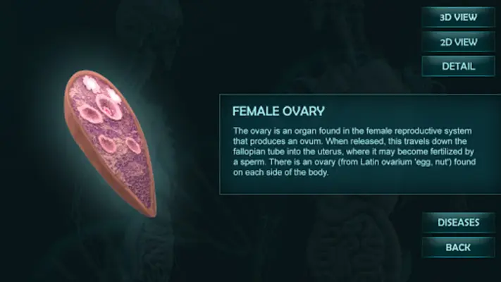 Female Reproduction system 3D android App screenshot 3