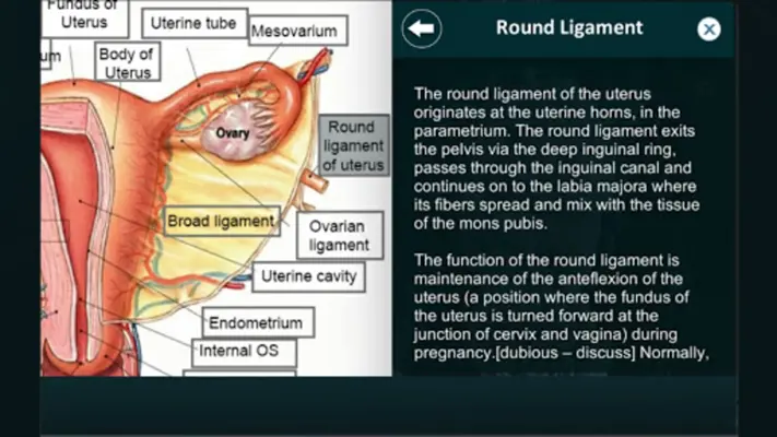 Female Reproduction system 3D android App screenshot 4