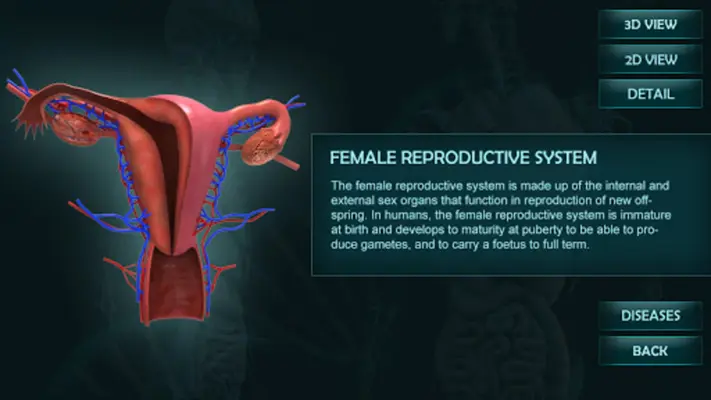 Female Reproduction system 3D android App screenshot 5