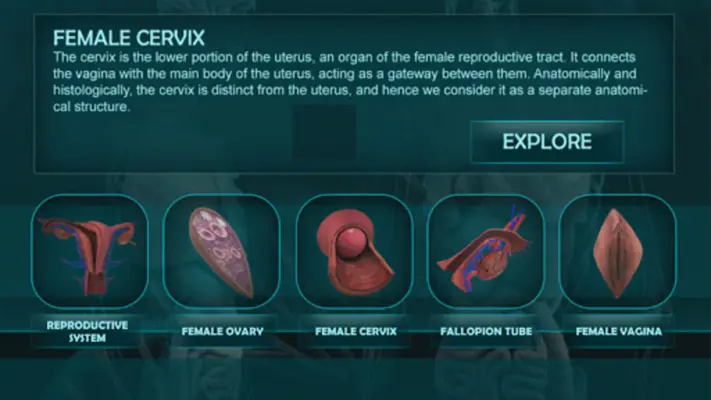 Female Reproduction system 3D android App screenshot 6